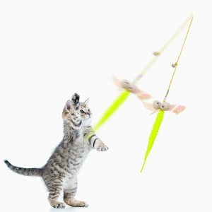 Cat Teaser Toy, Simulated Dragonfly or Caterpillar, Interactive Bell and Spring Rope, Exciting Playtime Adventures, Cat Toy